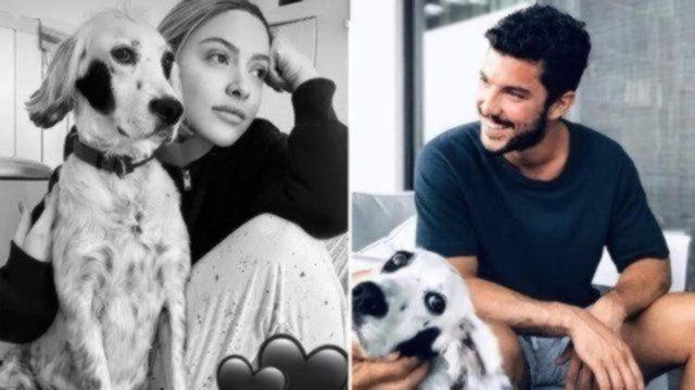 Kaan Yıldırım'dan Hadise'ye romantik kutlama 5