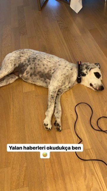 Kaan Yıldırım'dan Hadise'ye romantik kutlama 6