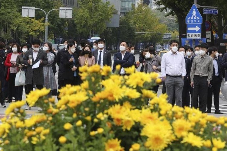 Bilim insanlarından korona araştırması! 11