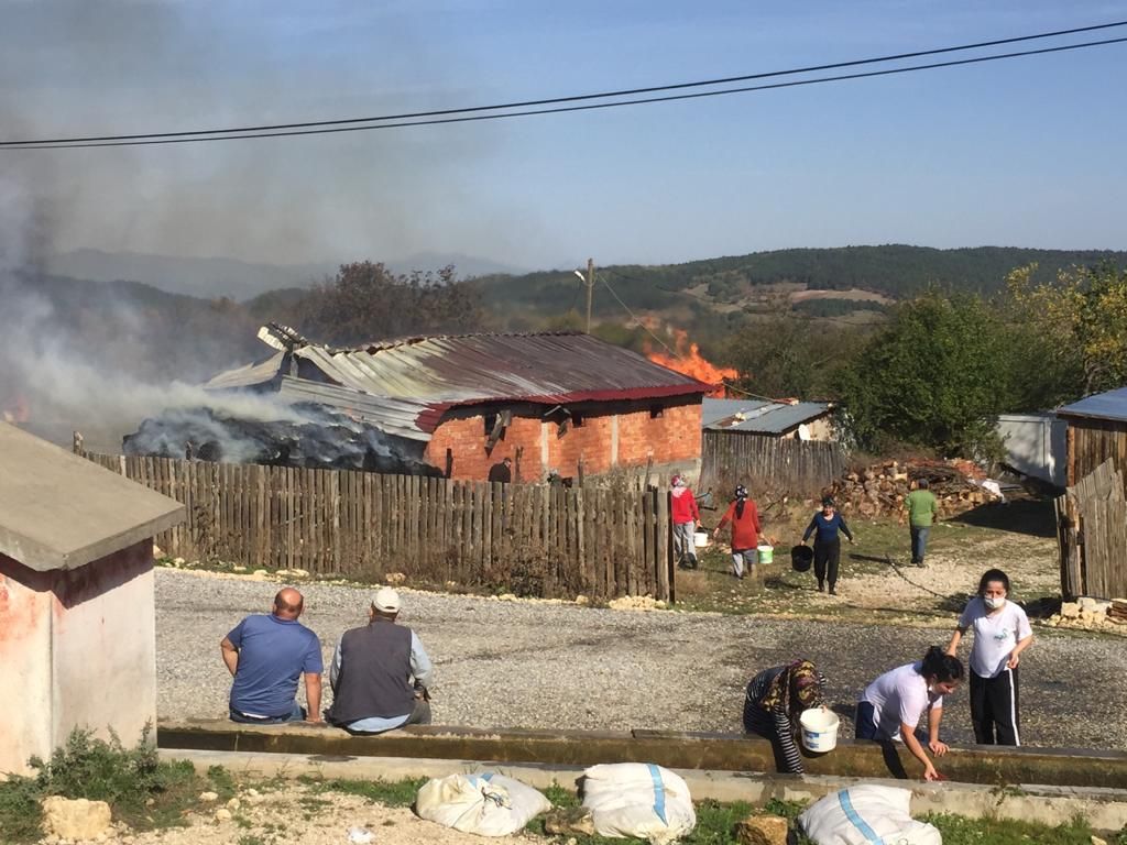 Bolu'da alevler bir köyü esir aldı! 1