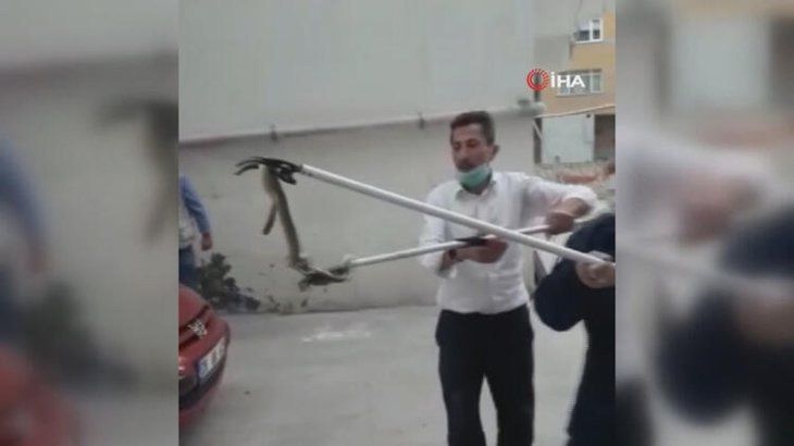 Otoparkta yılan paniği! 4