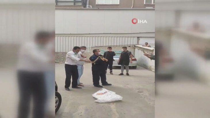 Otoparkta yılan paniği! 5