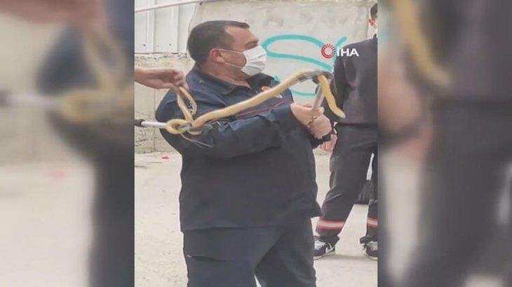Otoparkta yılan paniği! 6