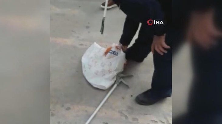 Otoparkta yılan paniği! 7