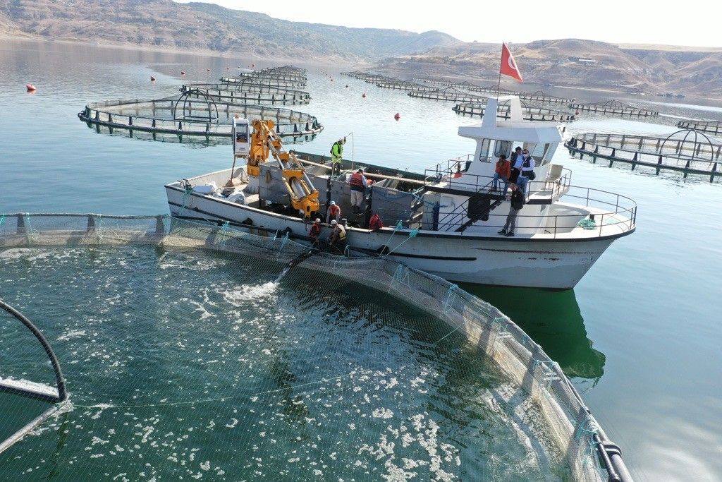 Denizi olmayan Kayseri'den 'Somon' ihracatı 4