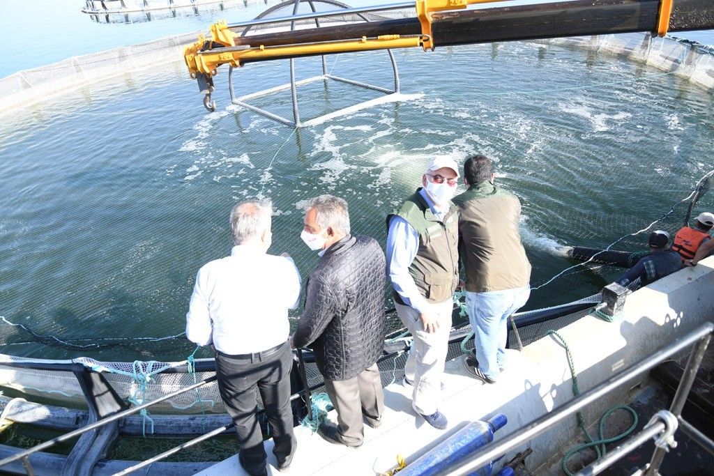 Denizi olmayan Kayseri'den 'Somon' ihracatı 7