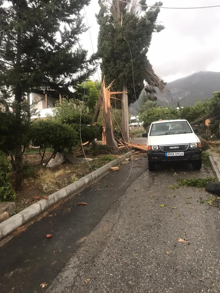 Araçları devirdi, ağaçları yerinden söktü 6