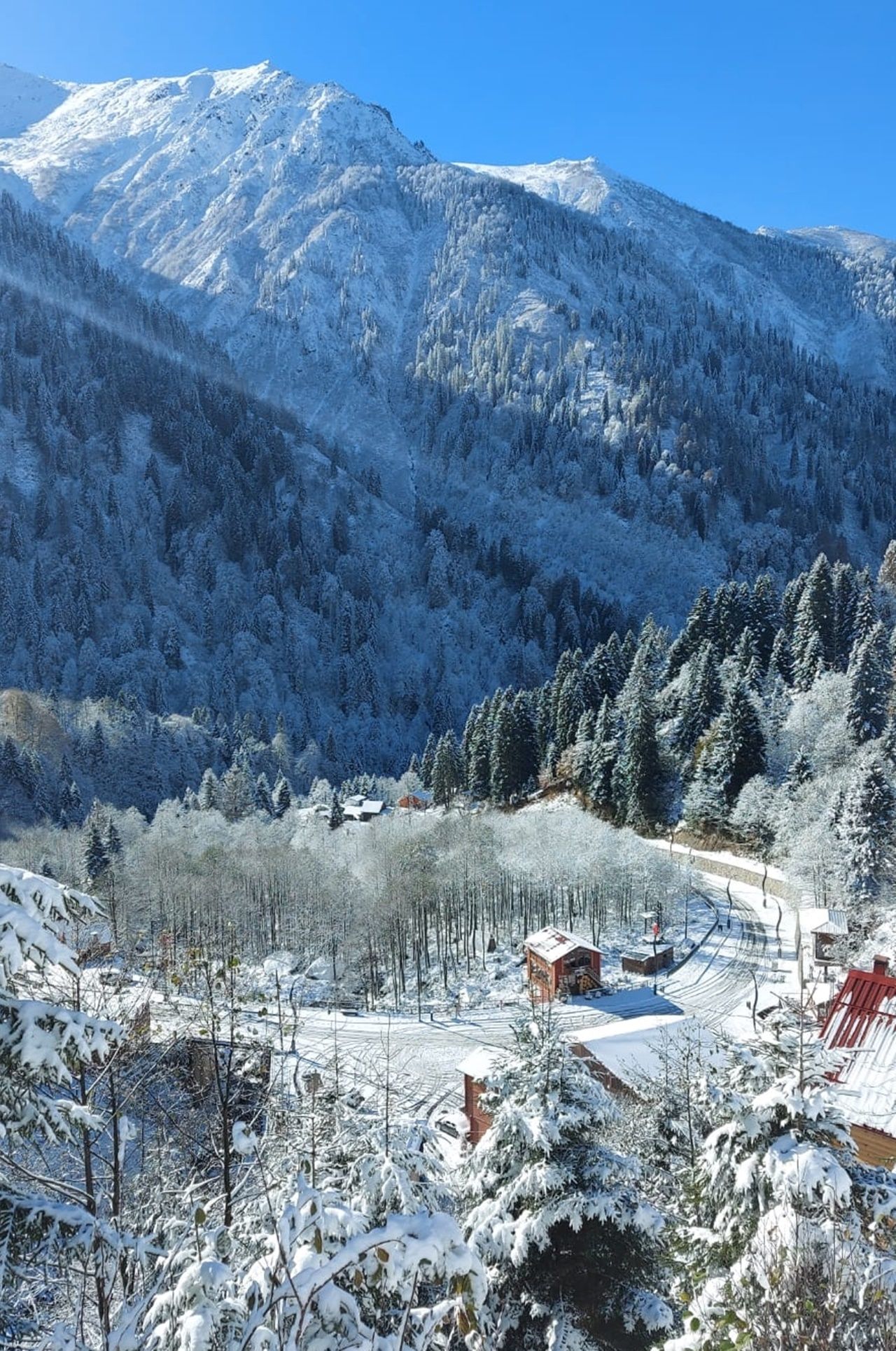 Rize ve Artvin'den kar manzaraları 1