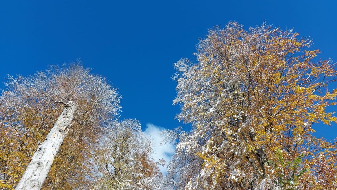 Rize ve Artvin'den kar manzaraları 4