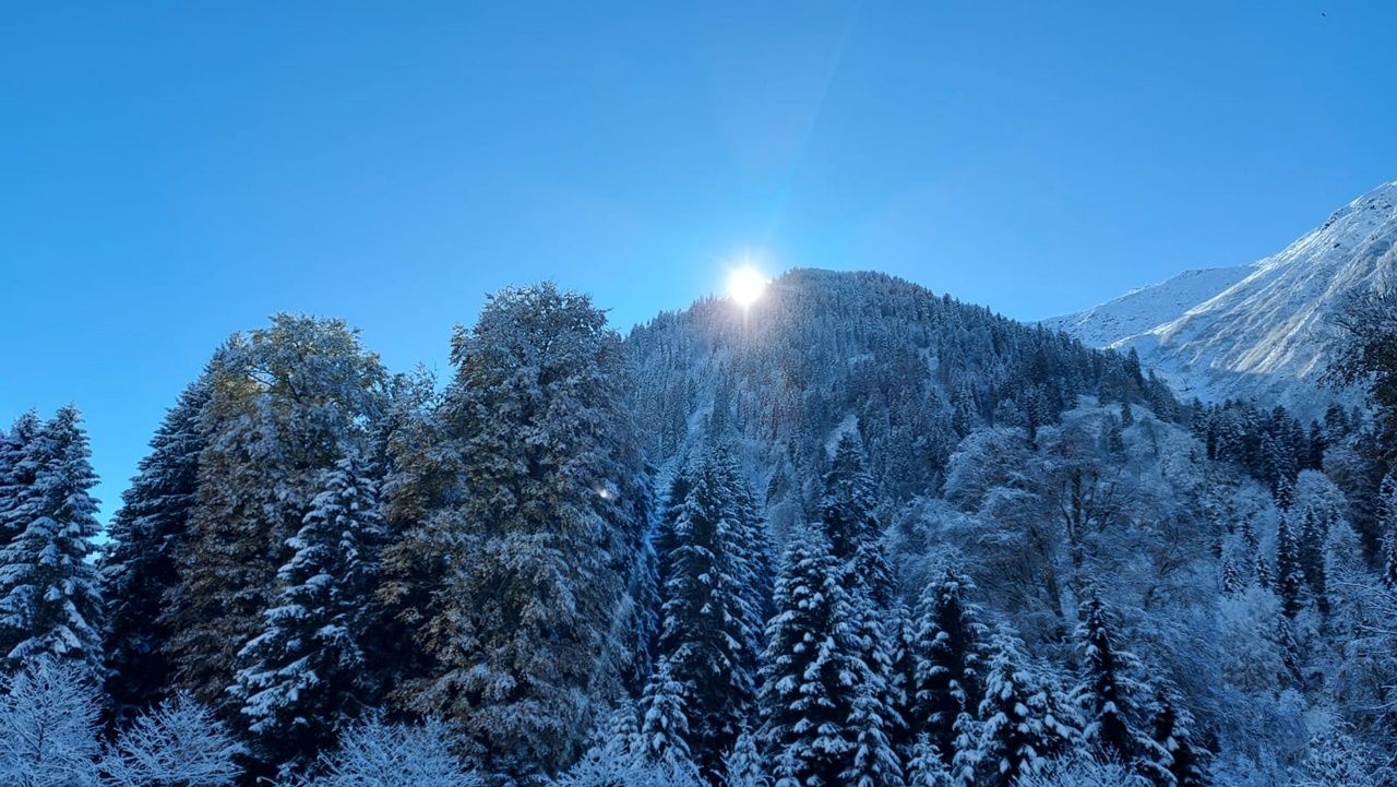 Rize ve Artvin'den kar manzaraları 5