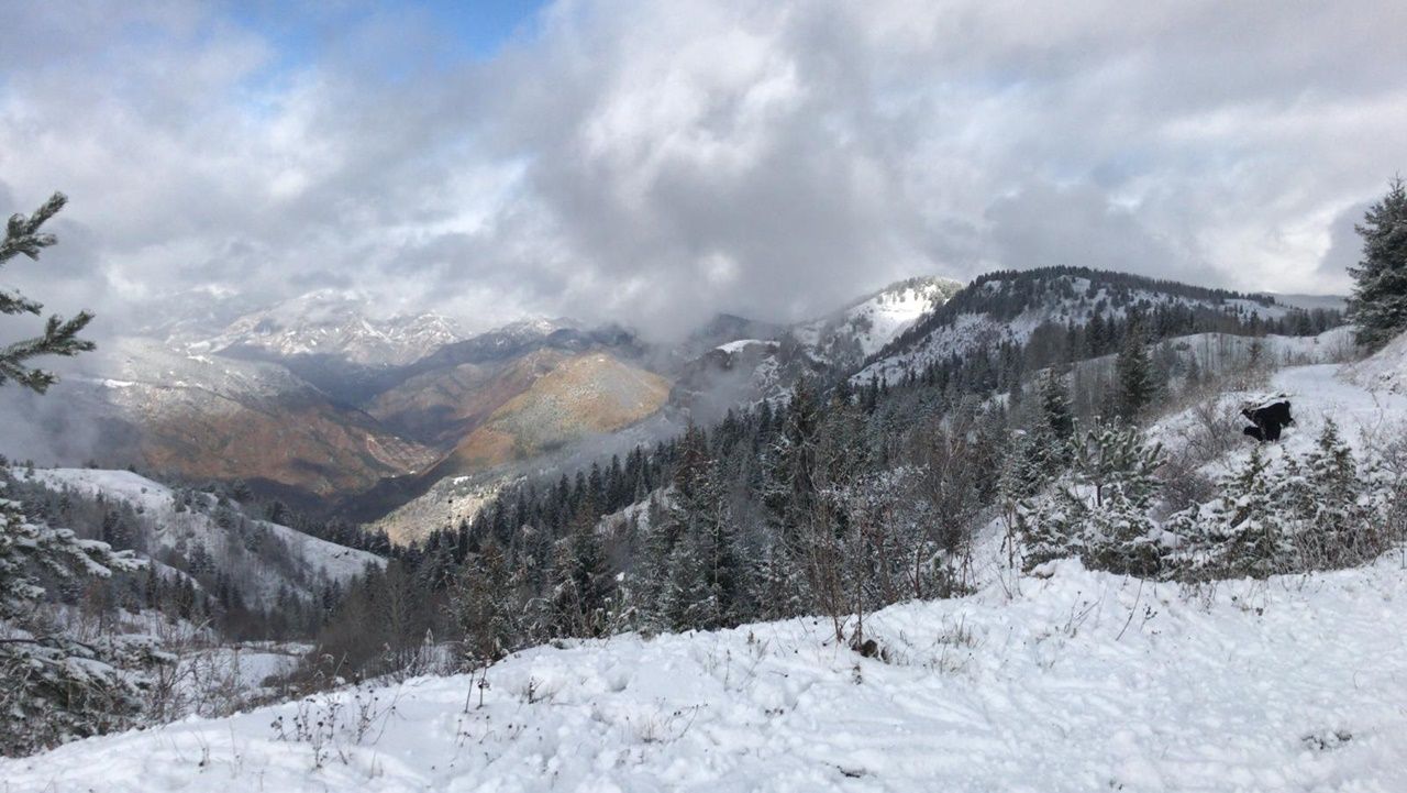 Rize ve Artvin'den kar manzaraları 12