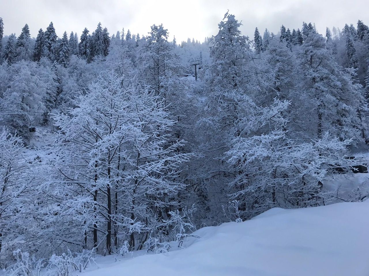 Rize ve Artvin'den kar manzaraları 16