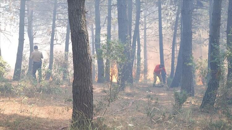 En çok Esenyurt ve Pendik'te görüldü 19