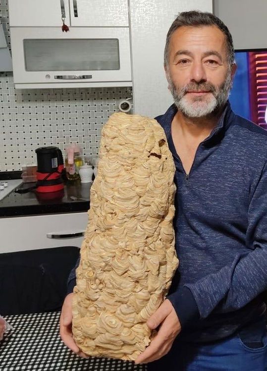 Evin içindeki dev yaban arısı yuvası görenleri şoke etti! 4