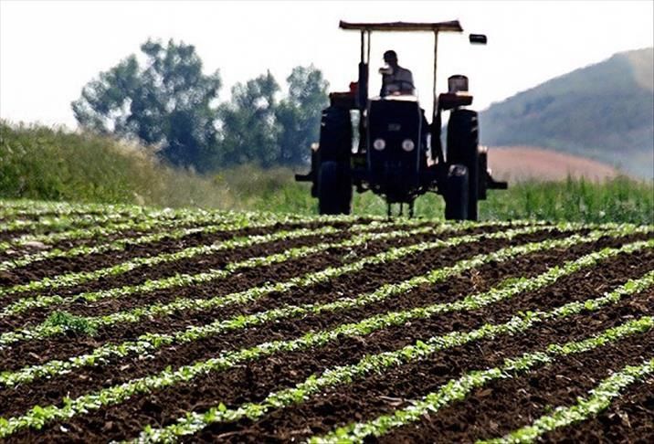 Pandemi sonrası için kıtlık uyarısı! 3