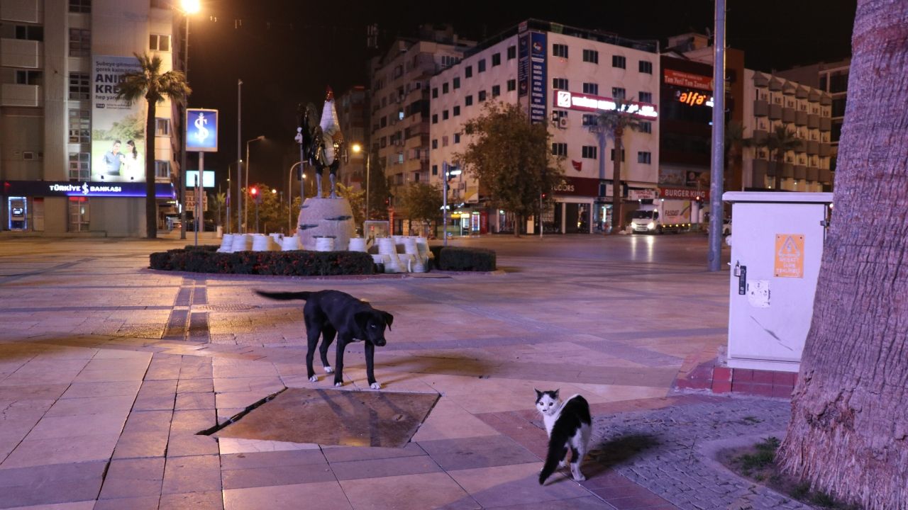 56 saat sürecek sokağa çıkma yasağı başladı 8