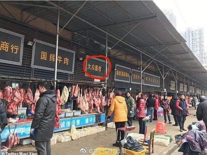 Koronanın doğduğu pazar yeniden açıldı 4