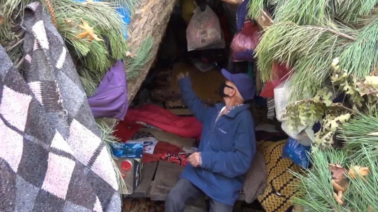 Biri ağaç kovuğunda, diğeri toprak evde yaşıyor! 2