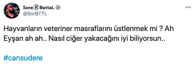 Sadakatsiz’in Asya’sı Cansu Dere gönülleri fethetti! 13