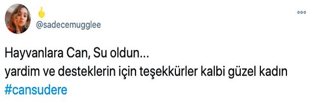 Sadakatsiz’in Asya’sı Cansu Dere gönülleri fethetti! 14