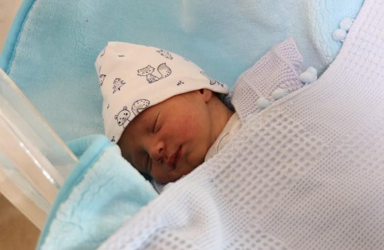 Civan Ali, Ecmel Mina, Kayra, Yağmur... 2