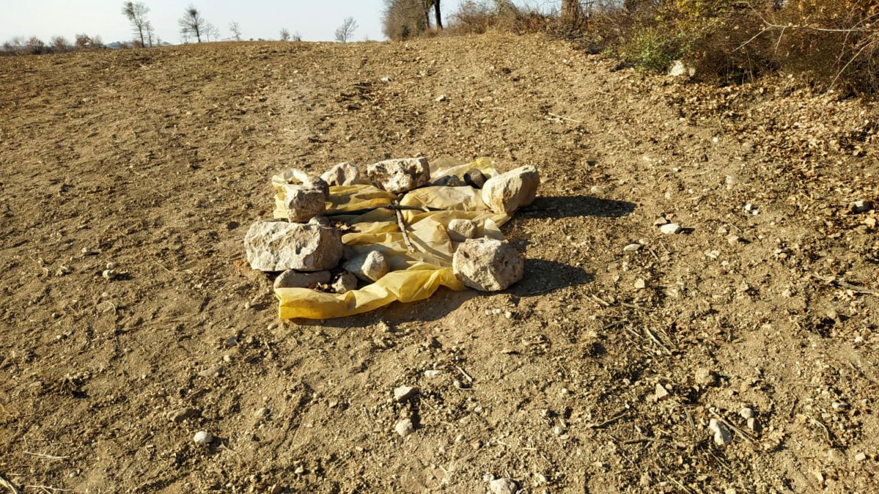 Tarlada 40 insan kafatası ve kemiği bulundu 5