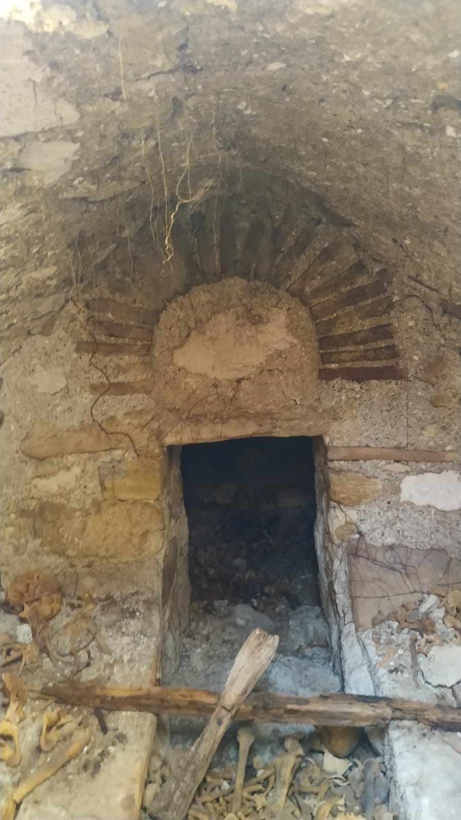 Tarlada 40 insan kafatası ve kemiği bulundu 10