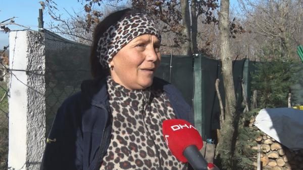 Koronayı bahane edip devlet arazisine 'kondular!' 5