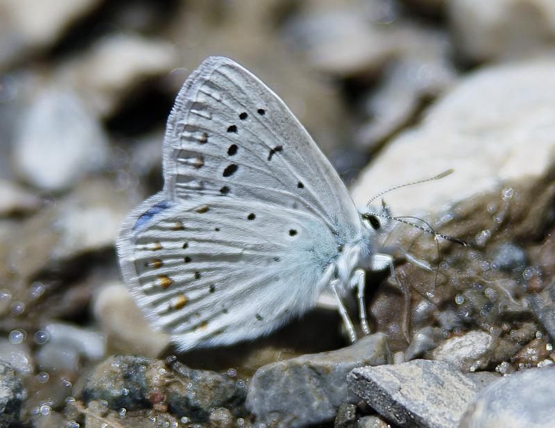 Türkiye'nin 2 milyon yıllık buzulları eriyor 12