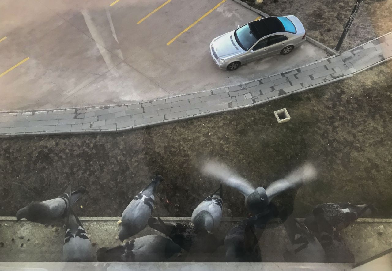 26 günlük Kovid işkencesini fotoğraflarla anlattı 15