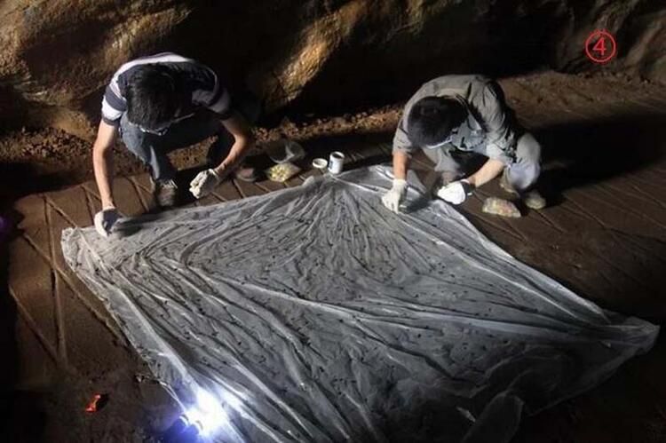 Çin'deki laboratuvardan şoke eden görüntü 15