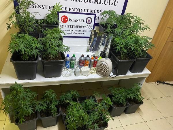 Üstü emlakçı, altı uyuşturucu serası! Polisin operasyonu kamerada... 1