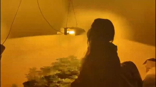 Üstü emlakçı, altı uyuşturucu serası! Polisin operasyonu kamerada... 5