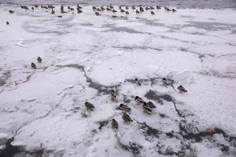 Baltık Canavarı Rusya üzerinden geliyor! 22