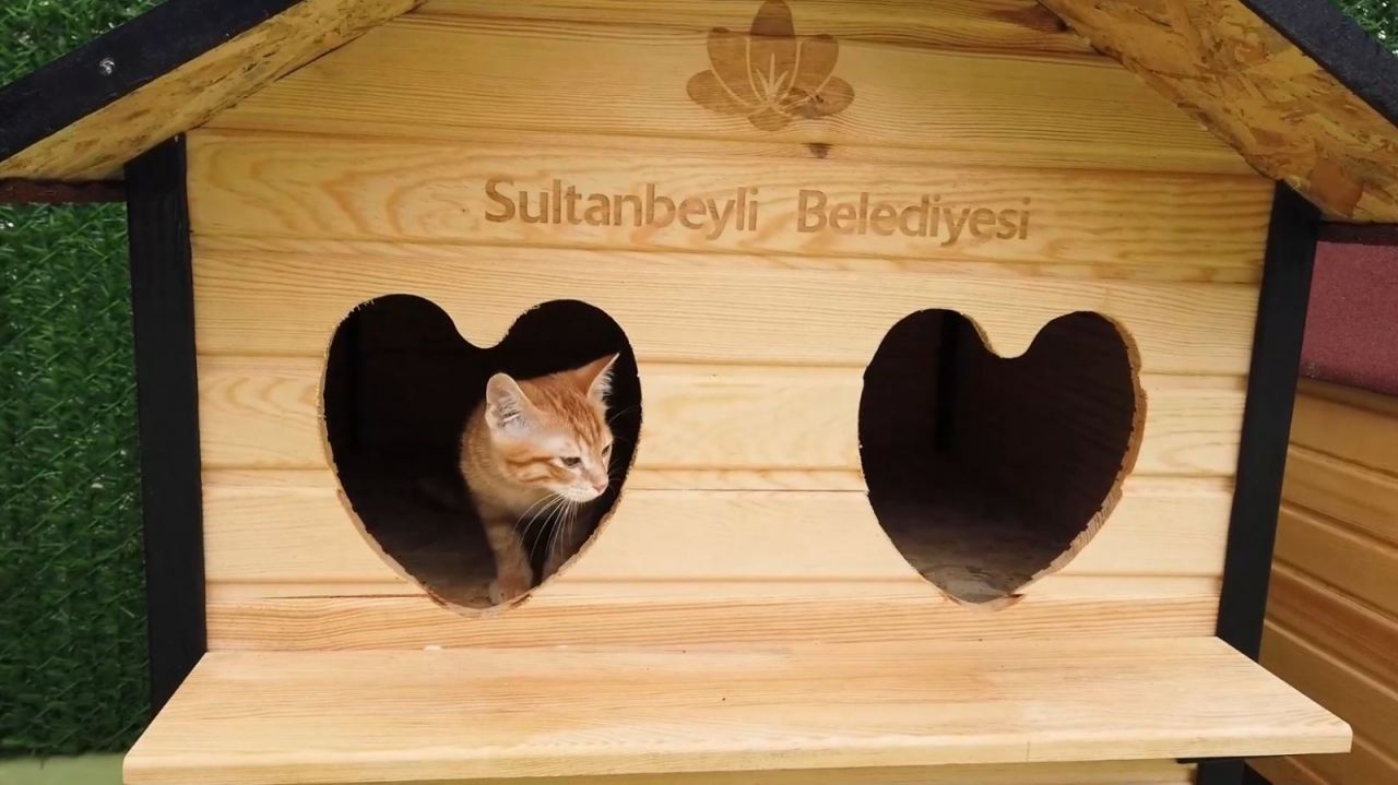 Sultanbeyli’de Sevimli Patiler Kliniği açıldı 14