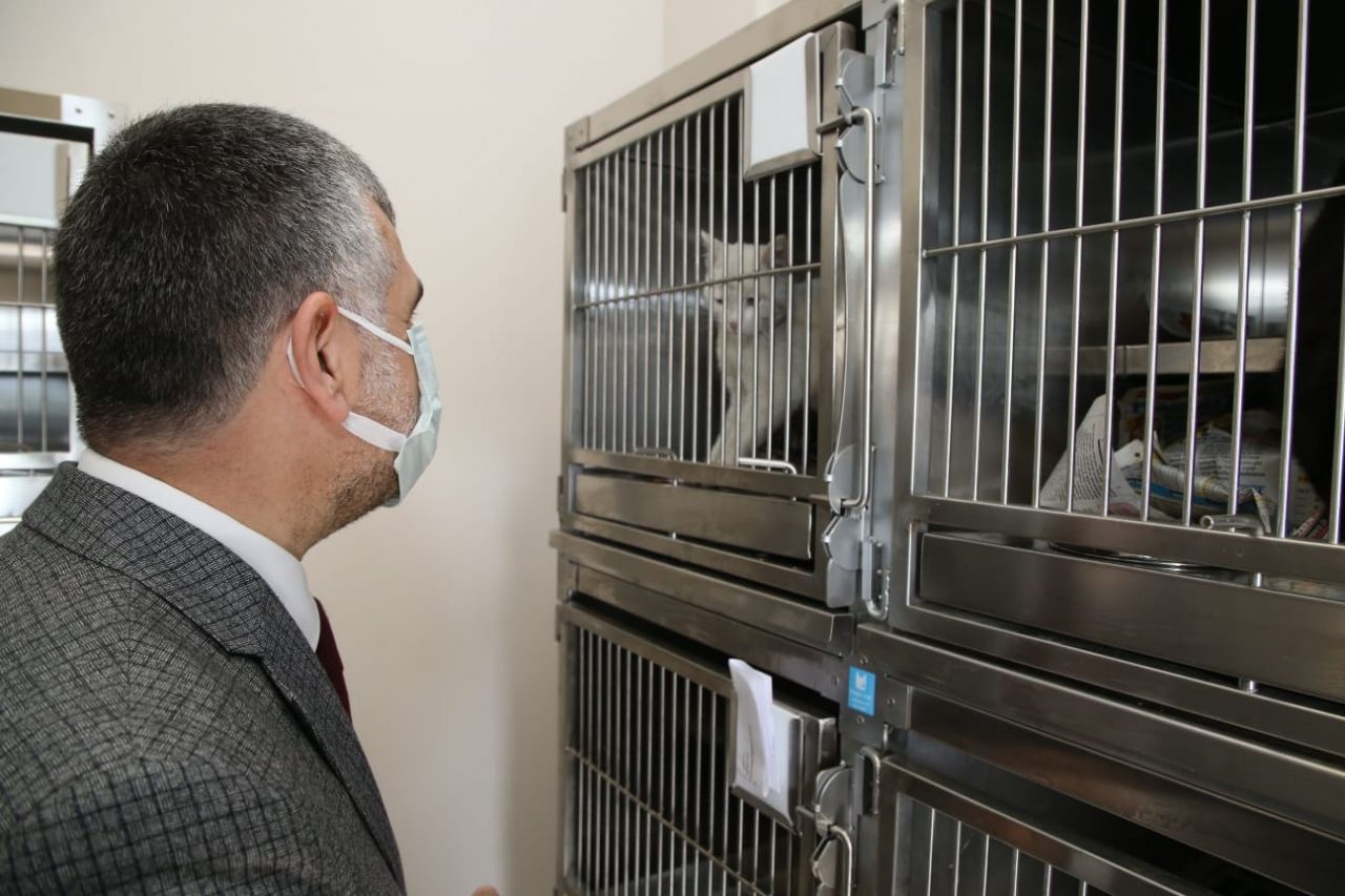 Sultanbeyli’de Sevimli Patiler Kliniği açıldı 7