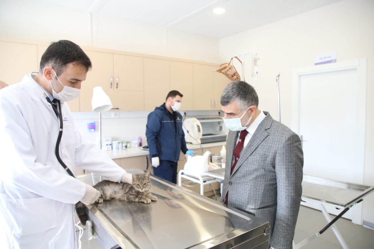 Sultanbeyli’de Sevimli Patiler Kliniği açıldı 3