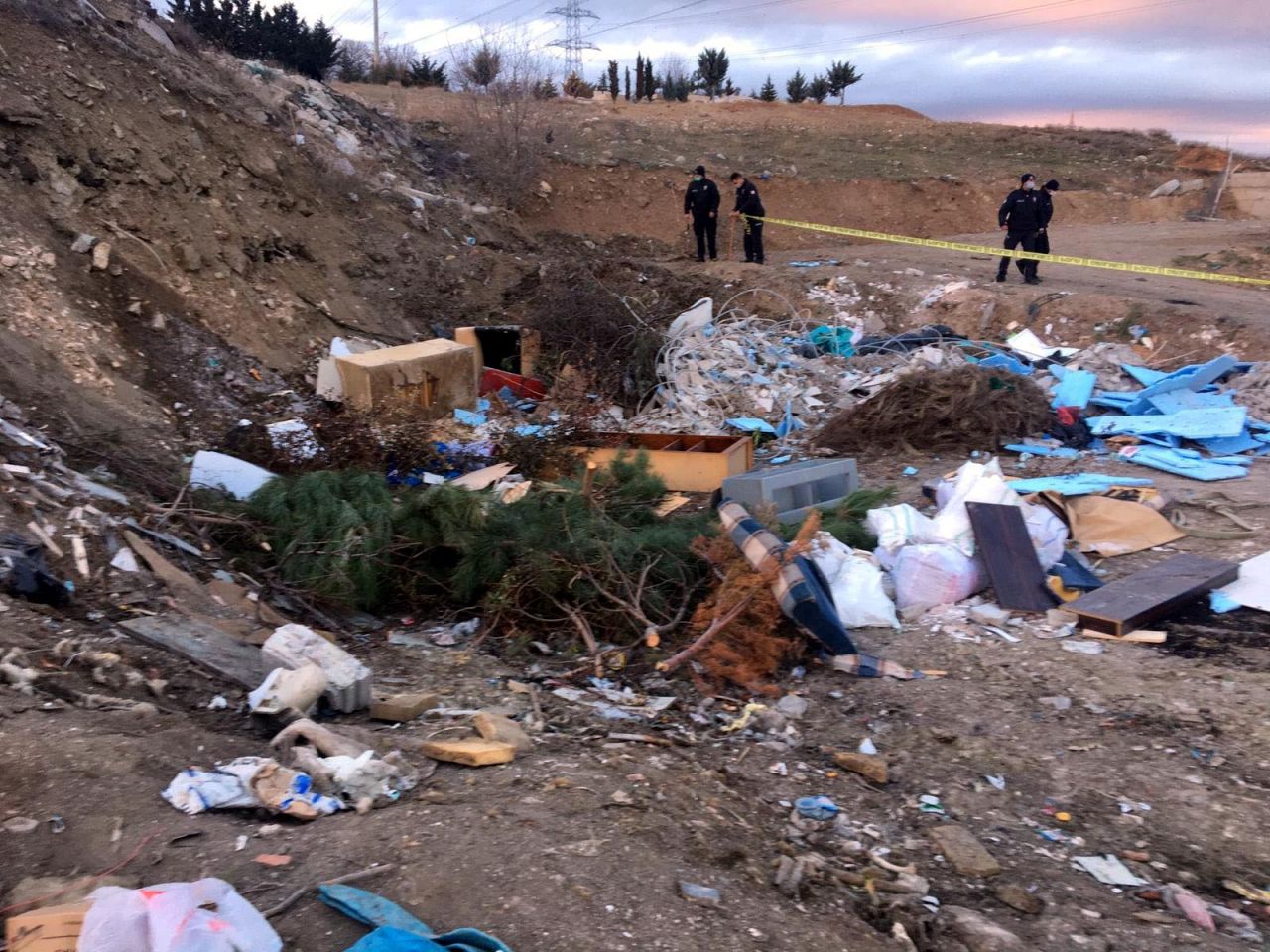 Molozların arasında 20 ölü köpek bulundu 2
