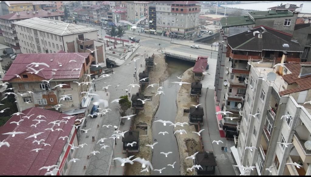 Rize'de drone denetimi başladı 1