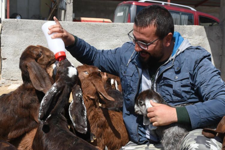 Şirketini kapatıp keçi çiftliği kurdu 3