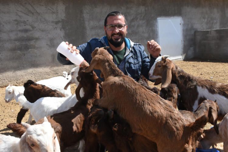 Şirketini kapatıp keçi çiftliği kurdu 7