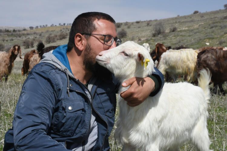 Şirketini kapatıp keçi çiftliği kurdu 1