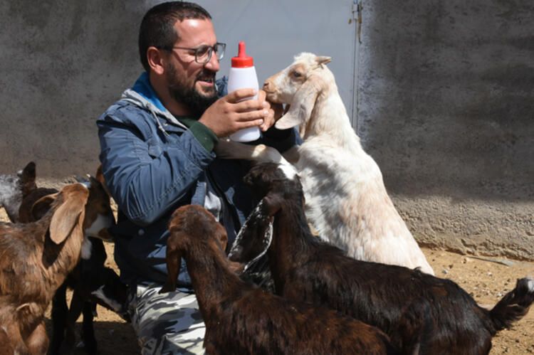 Şirketini kapatıp keçi çiftliği kurdu 6