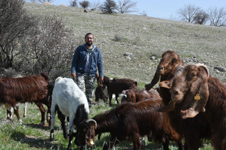Şirketini kapatıp keçi çiftliği kurdu 5
