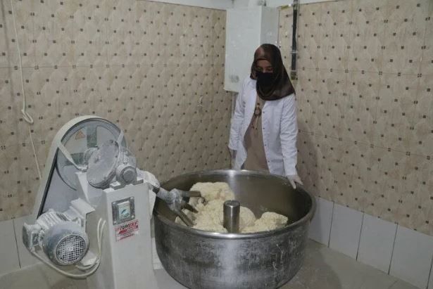 Erzincan'da girişimcilik örneği: 40 bin TL'yi 2.5 milyona çıkardı! 7