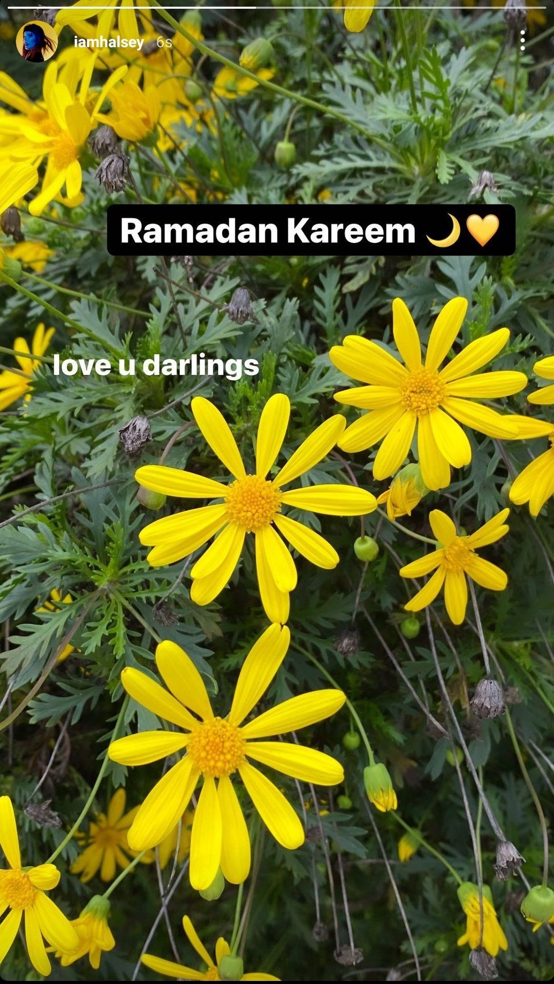 Dünyaca ünlü isimler "Ramazan'ı kutlama" yarışına girdi: Sosyal medya yıkıldı! 11