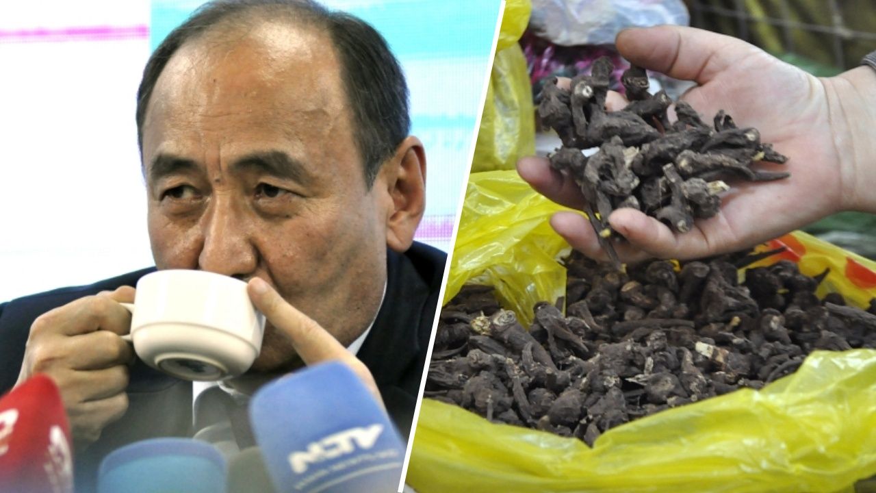 Sağlık Bakanı kameralar önünde zehirli bitkiyi kaynatıp içti! 1