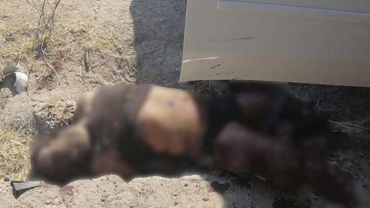 Meksika'da kanlı kartel savaşları! Bu görüntülere yürek dayanmaz 3