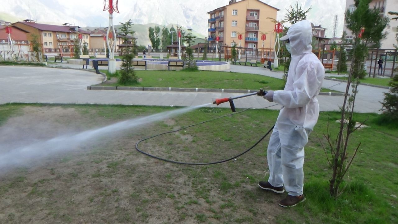 Vatandaşlar panikte! Çekirge istilası ekipleri harekete geçirdi 7
