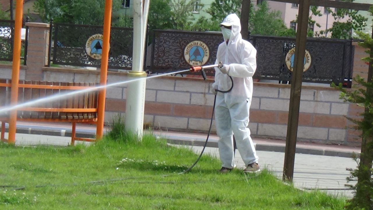 Vatandaşlar panikte! Çekirge istilası ekipleri harekete geçirdi 6